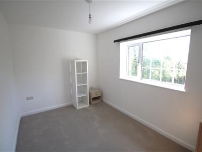 Picture 27